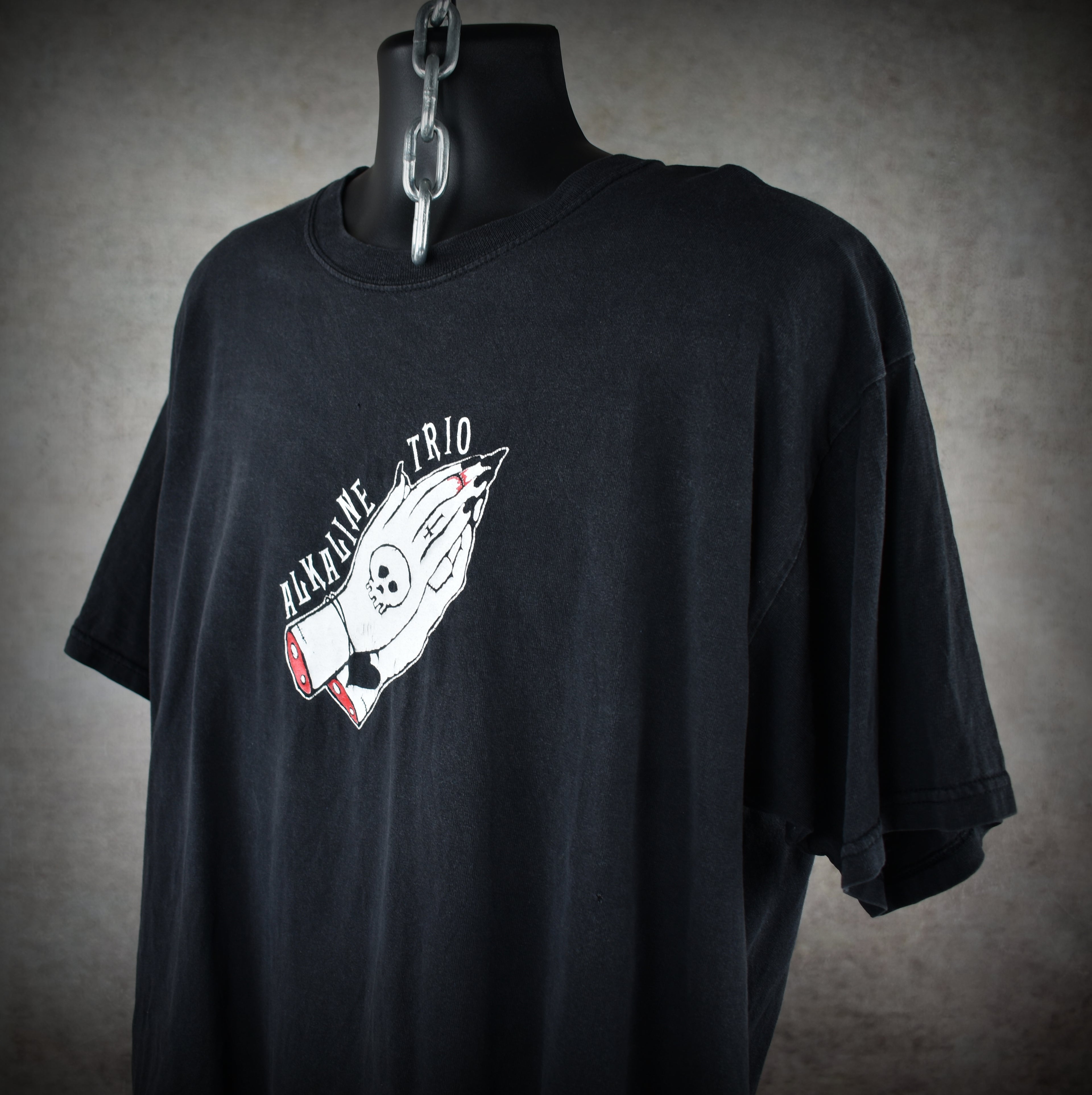 2000s alkaline trio vintage from here to infirmary era classic pop punk band logo promo t-shirt