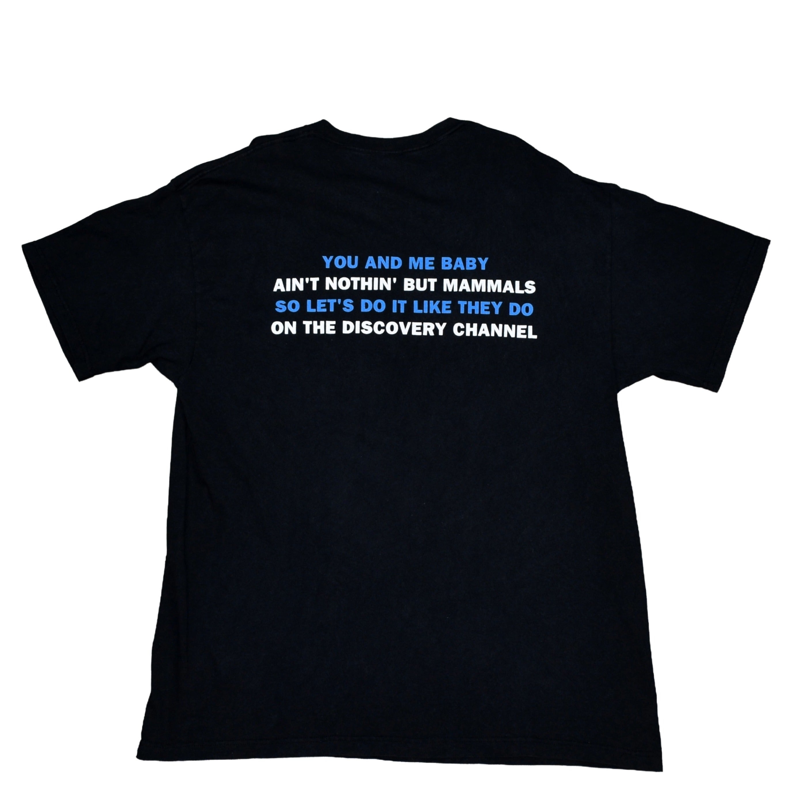1999 bloodhound gang vintage the bad touch iconic y2k pop punk band song promo t-shirt