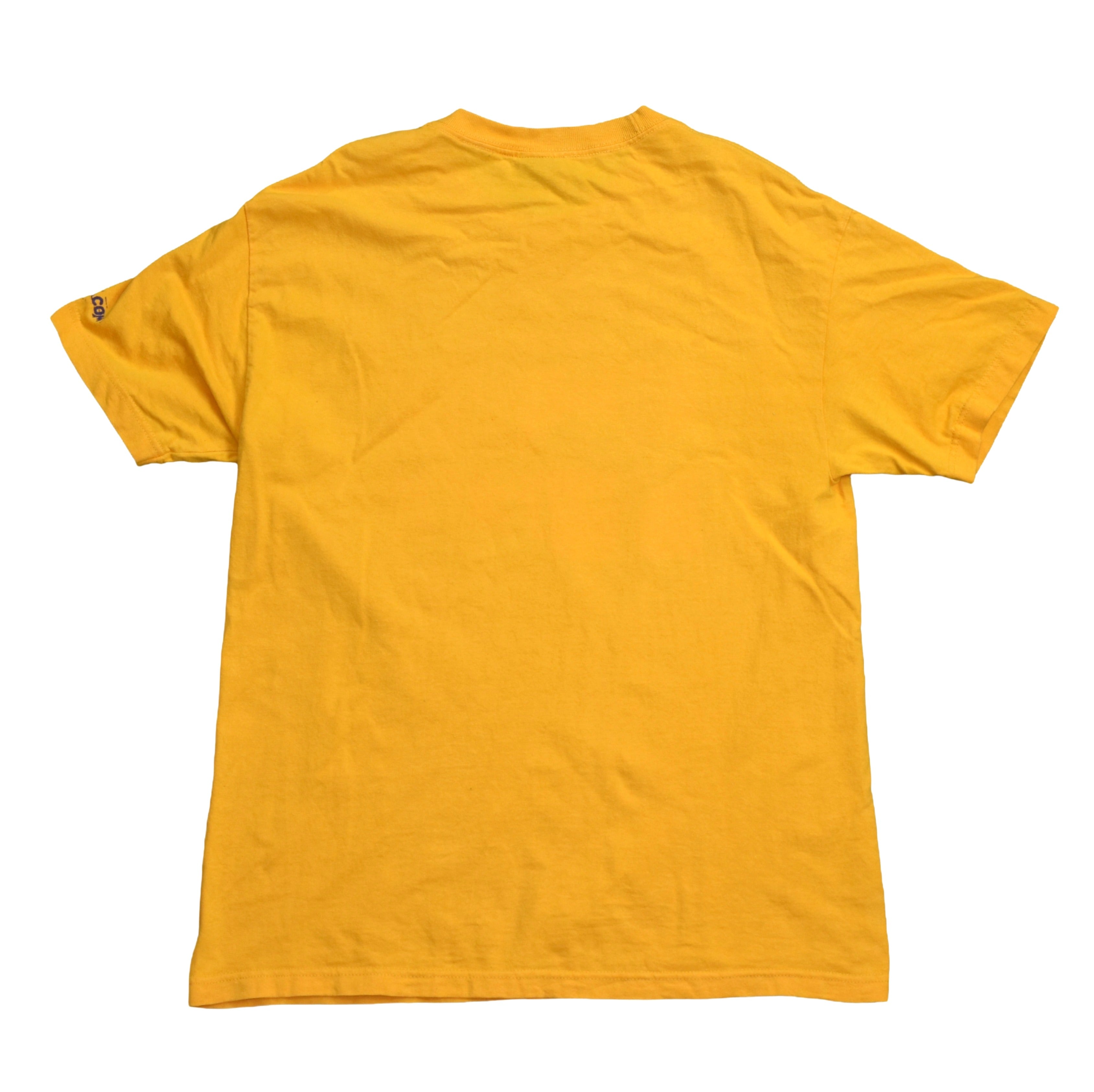 2000 cky2k vintage bran + bam + ry + raab himself + more cult classic y2k skate video promo t-shirt