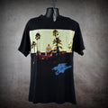 1994 eagles vintage hell freezes over era 90s hotel california classic rock band tour t-shirt