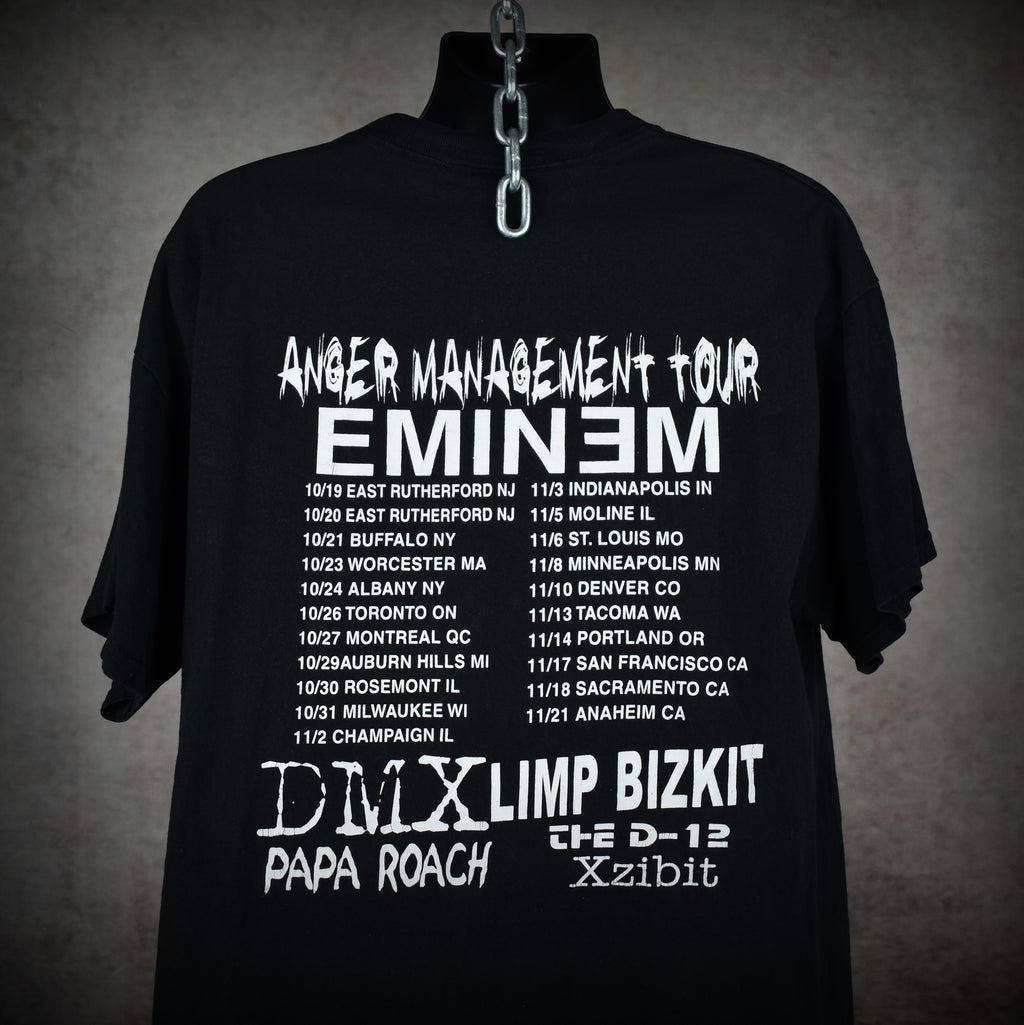 2000 limp bizkit vintage chocolate starfish and the hotdog flavored water album art y2k anger management tour t-shirt