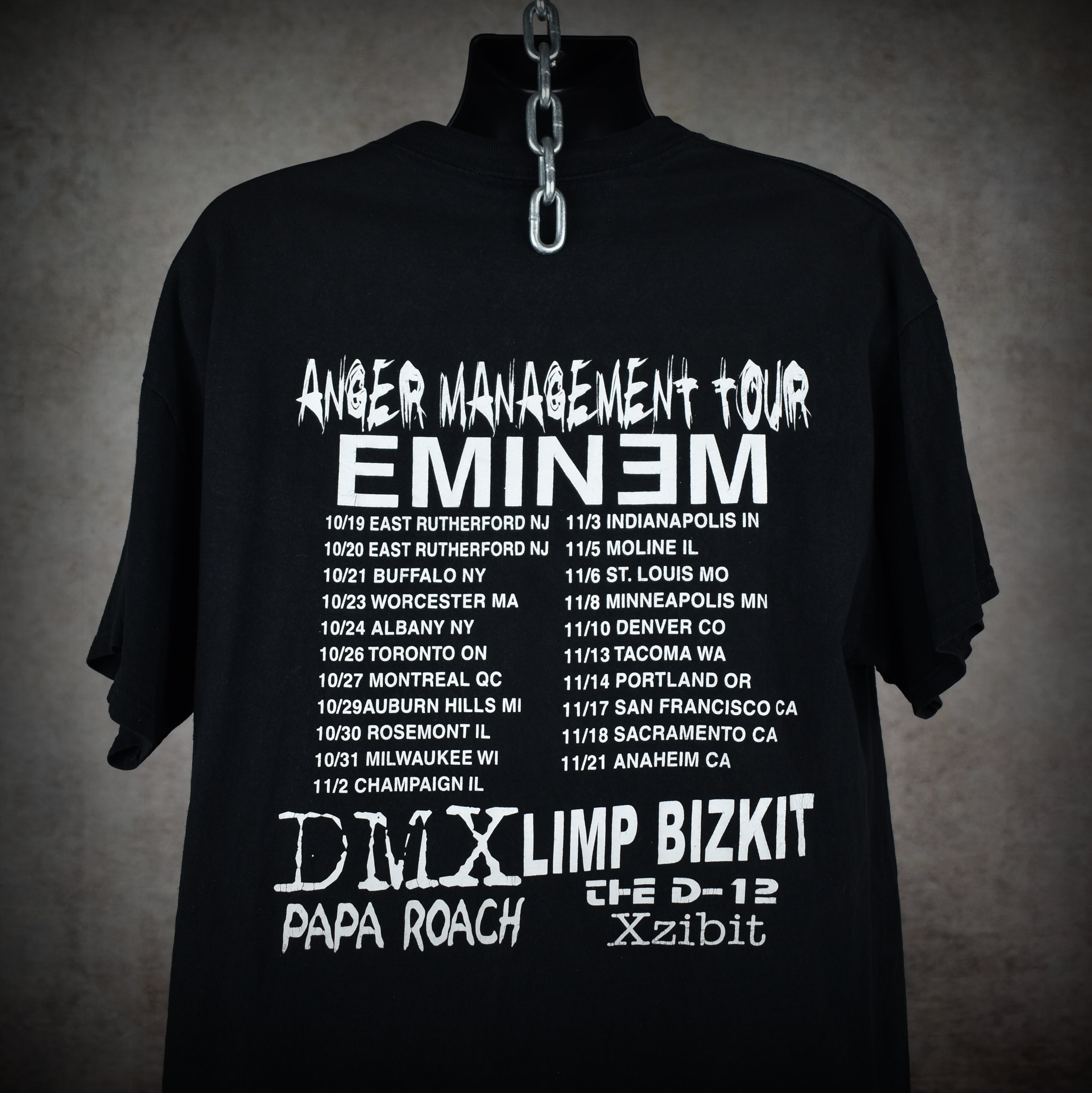2000 limp bizkit vintage chocolate starfish and the hotdog flavored water album art y2k anger management tour t-shirt