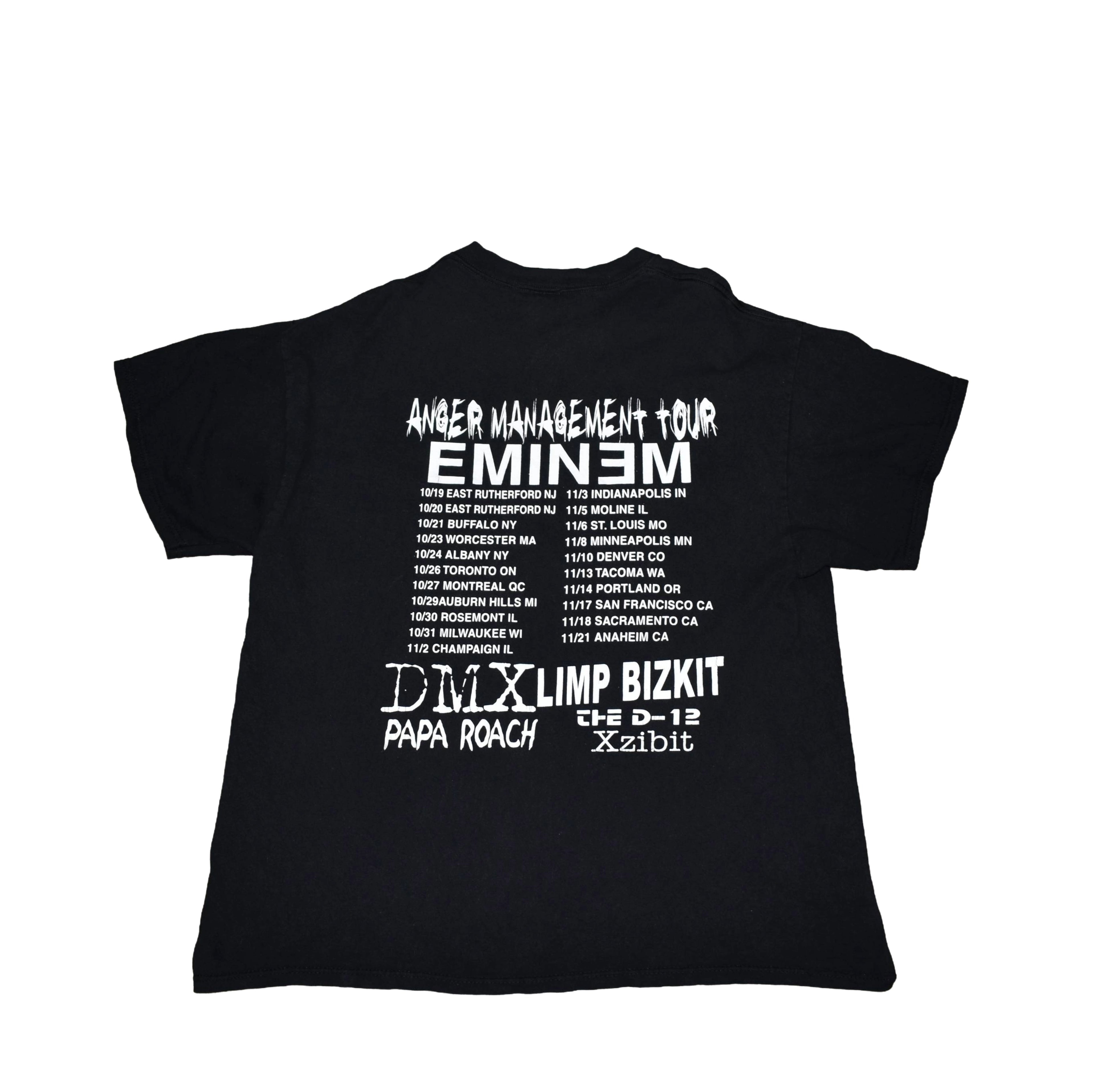 2000 limp bizkit vintage chocolate starfish and the hotdog flavored water album art y2k anger management tour t-shirt