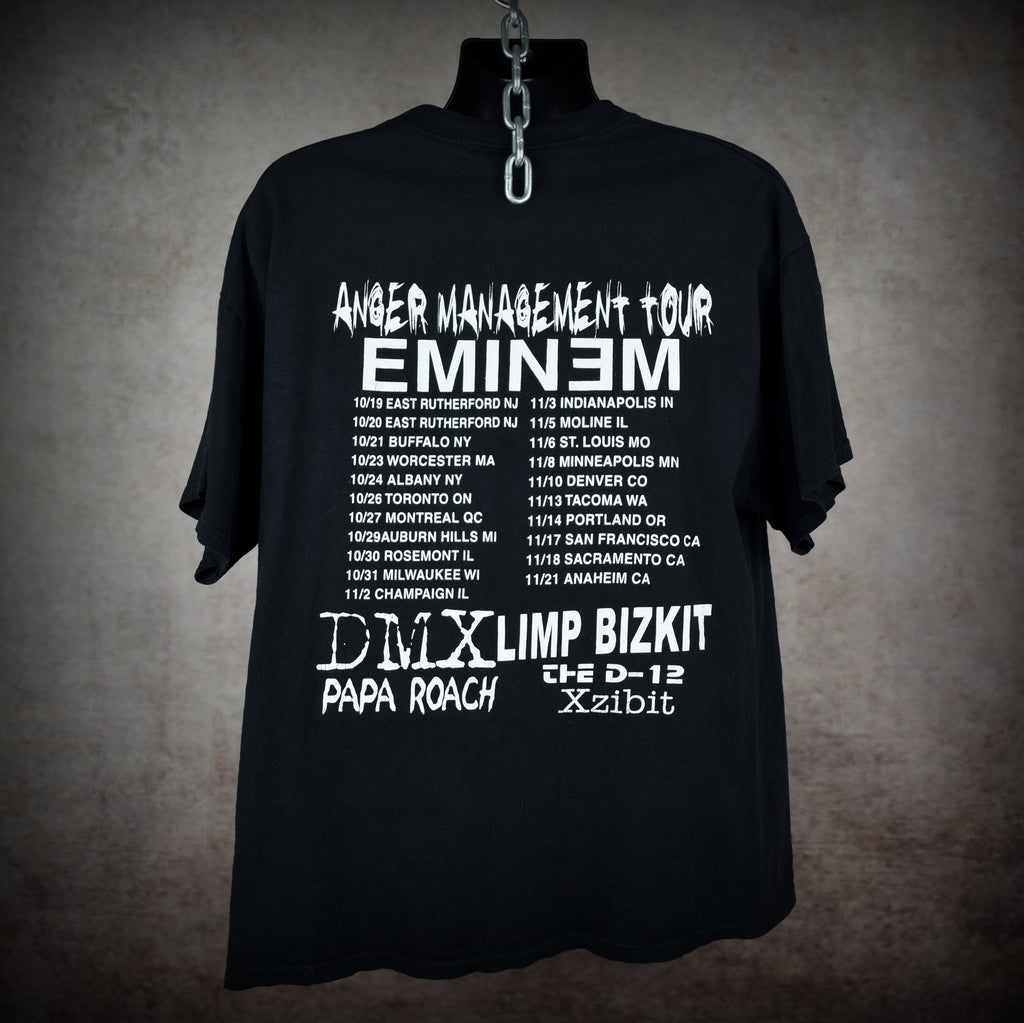 2000 limp bizkit vintage chocolate starfish and the hotdog flavored water album art y2k anger management tour t-shirt