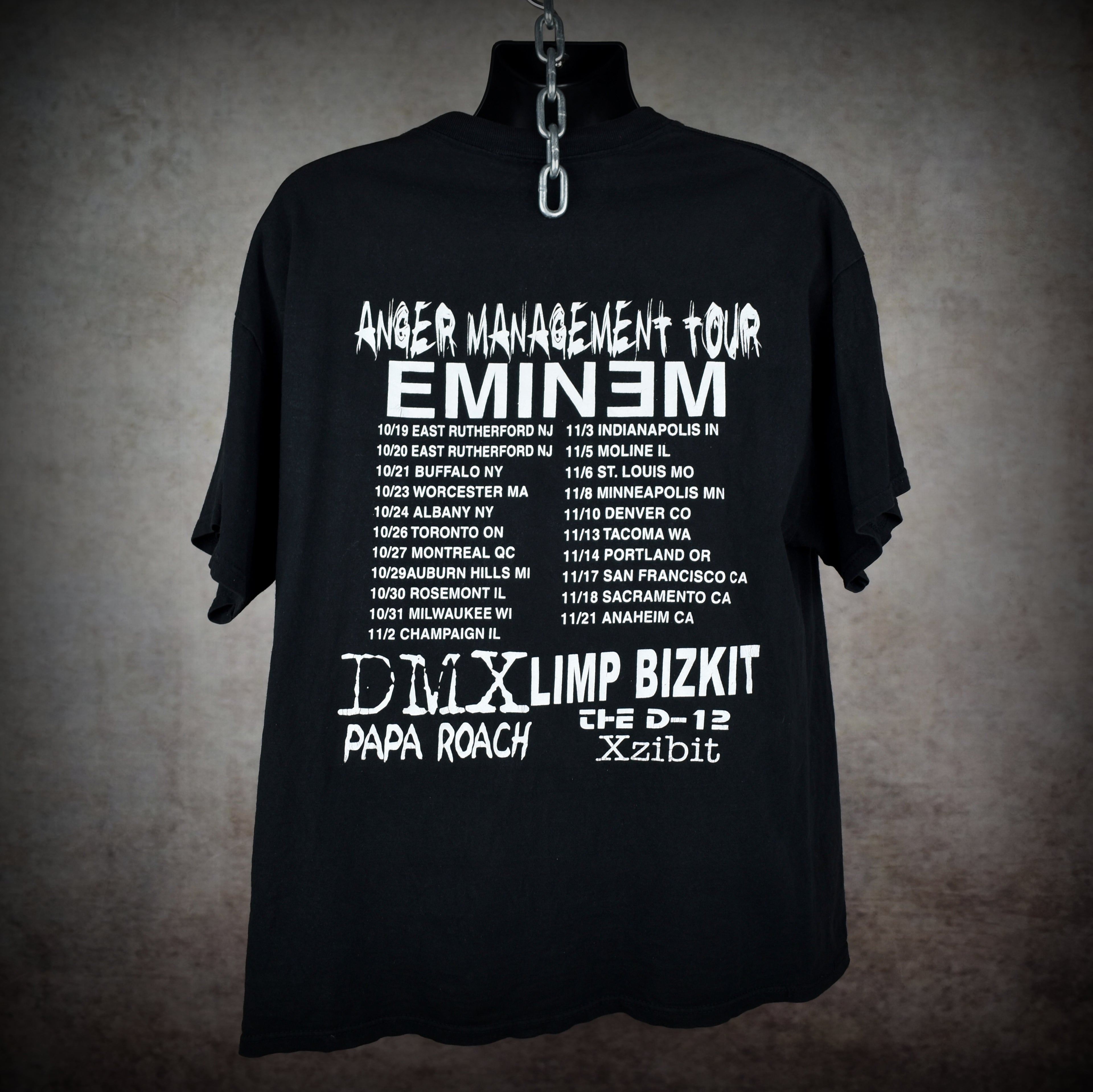 2000 limp bizkit vintage chocolate starfish and the hotdog flavored water album art y2k anger management tour t-shirt