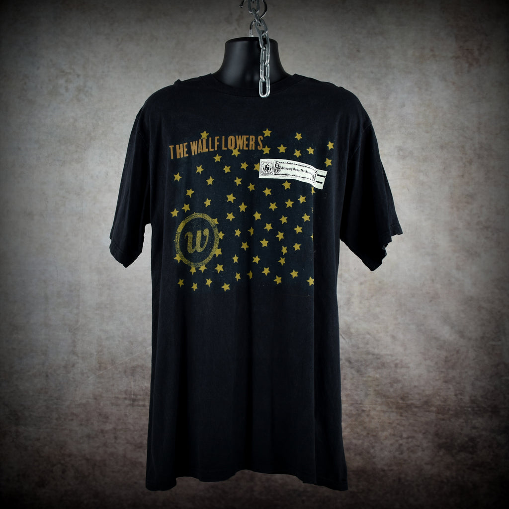1997 the wallflowers vintage bringing down the horse classic 90s alternative rock radio band tour t-shirt