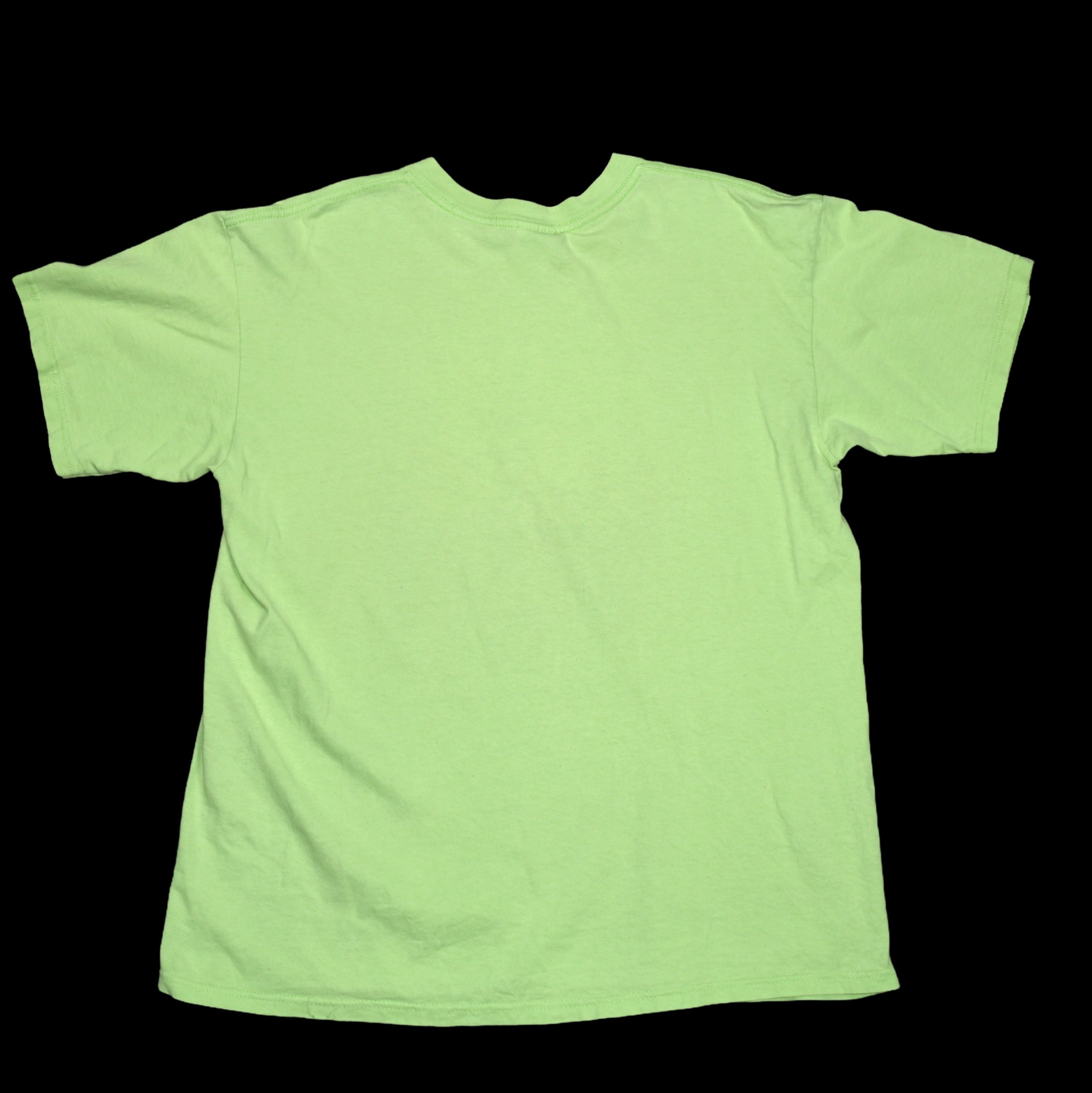 2001 weezer vintage green album iconic y2k power pop album promo band t-shirt