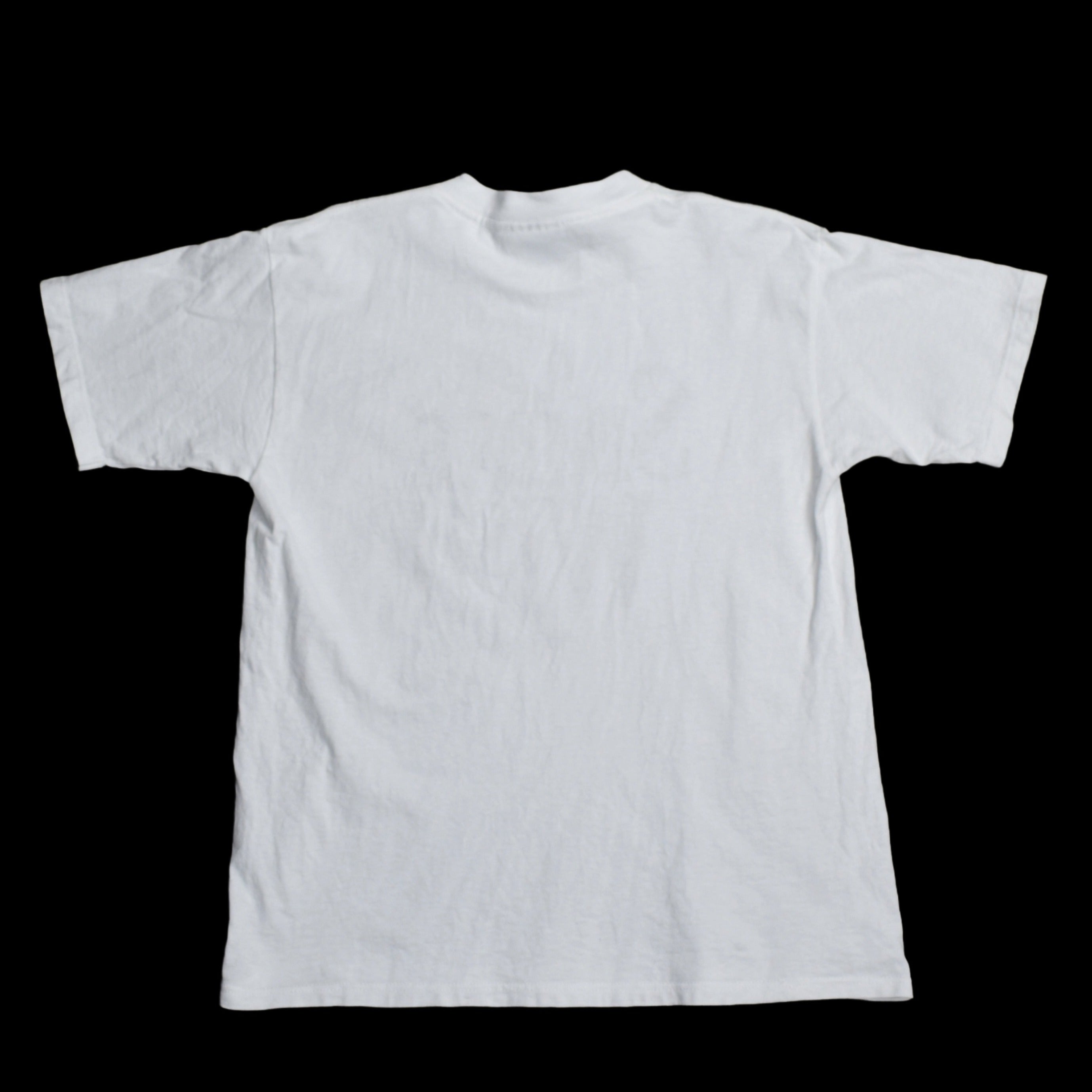1997 a simple wish vintage sun reactive text cult 90s fantasy comedy movie promo t-shirt