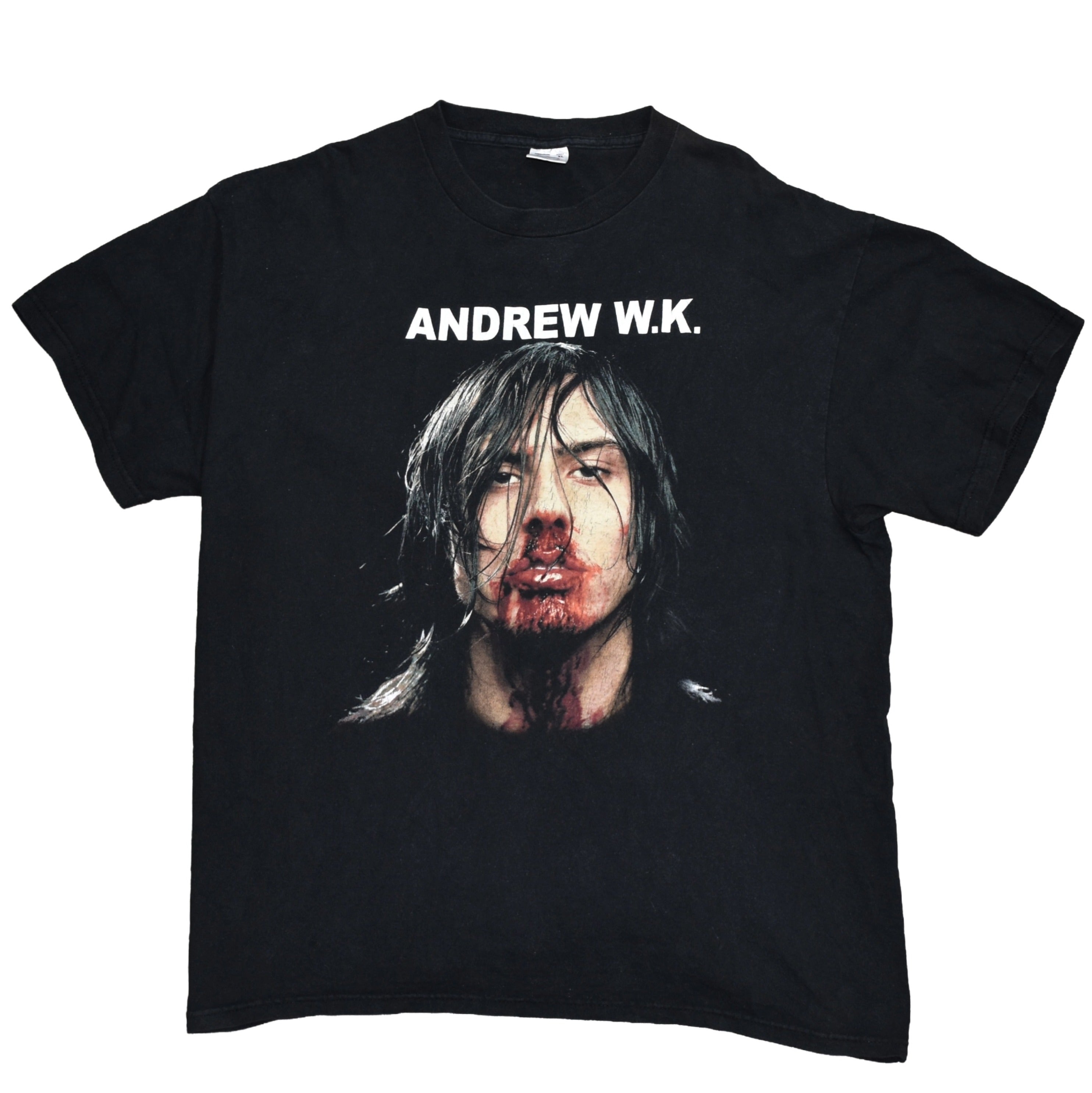 2001 andrew w.k. vintage party hard era iconic y2k pop culture i get wet album art promo t-shirt